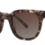 Brown Tortoiseshell