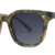 Tortoiseshell