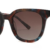 Red Tortoiseshell