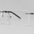 M.Gun