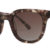 Brown Tortoiseshell