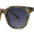 Tortoiseshell