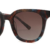 Red Tortoiseshell